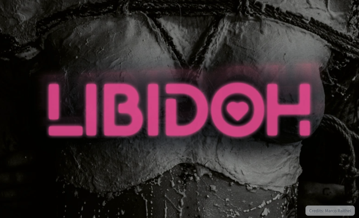 Kinky Zürich LIBIDOH